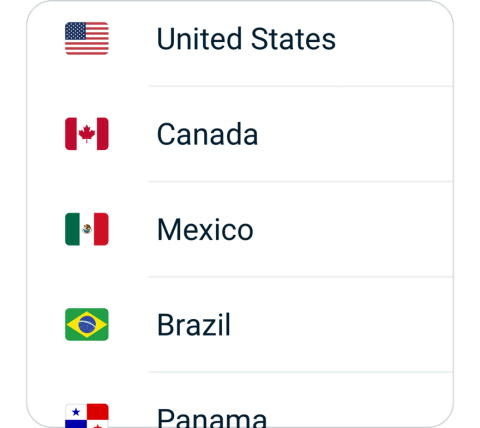 npv connect step 2, choose VPN server location